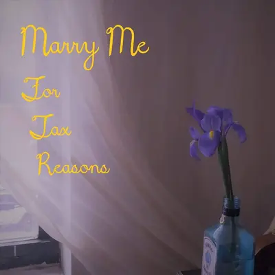 marry_me_for_tax_reasons_400.webp